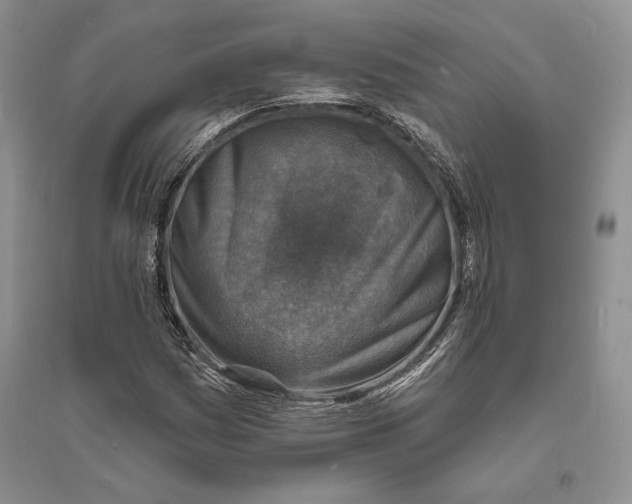 X0000094071161200711091145