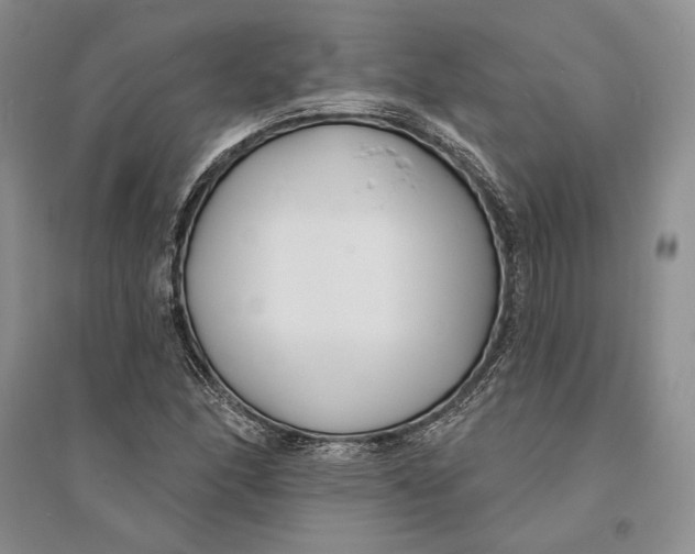 X0000094071166200711091145