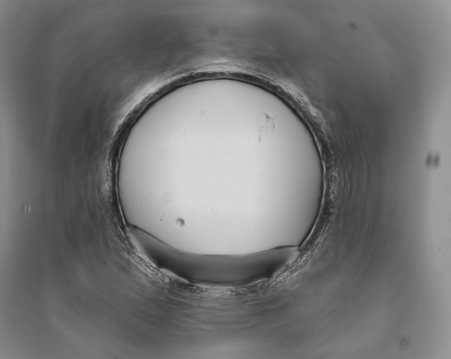 X0000094071167200711091145
