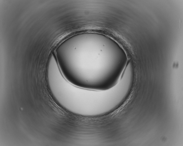 X0000094071169200711091145
