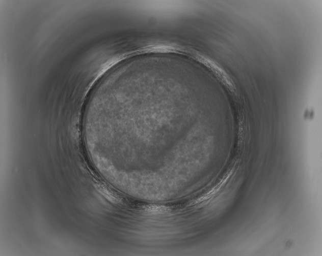 X0000094071170200711091145