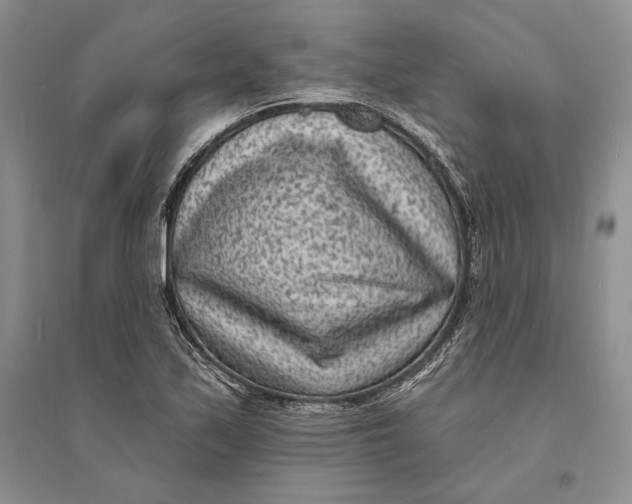 X0000094071171200711091145