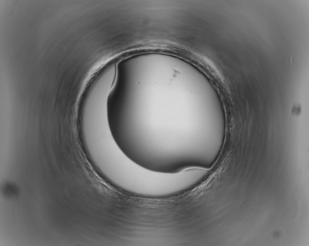 X0000094071172200711091145