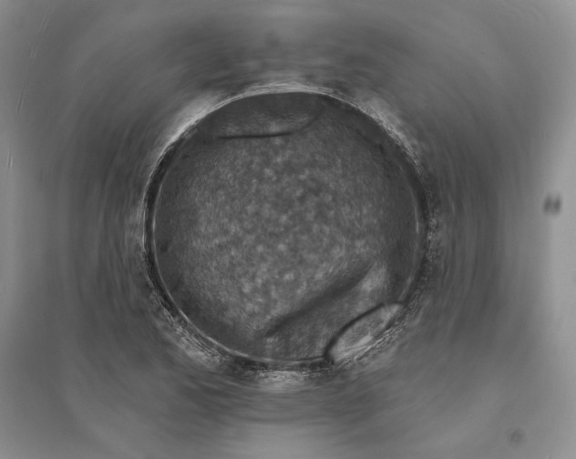 X0000094071173200711091145