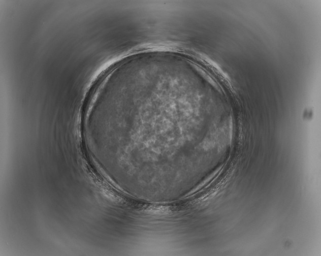 X0000094071174200711091145