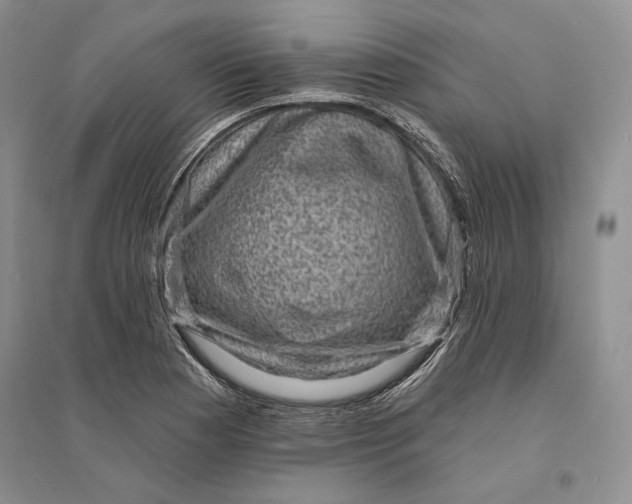 X0000094071177200711091145