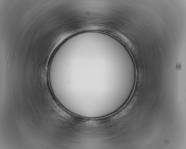 X0000094071178200711091145