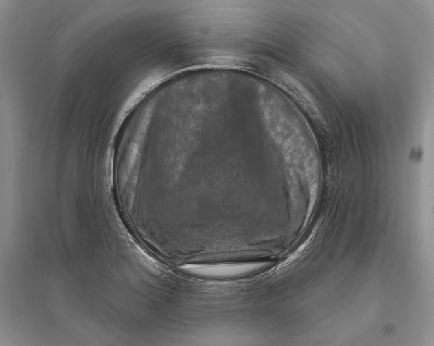 X0000094071180200711091145