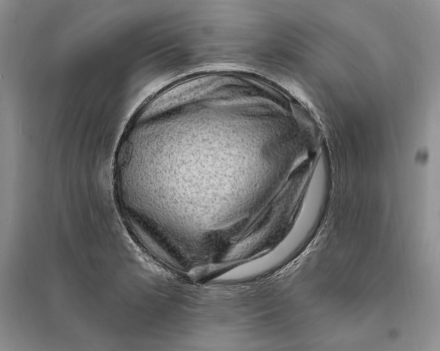X0000094071181200711091145