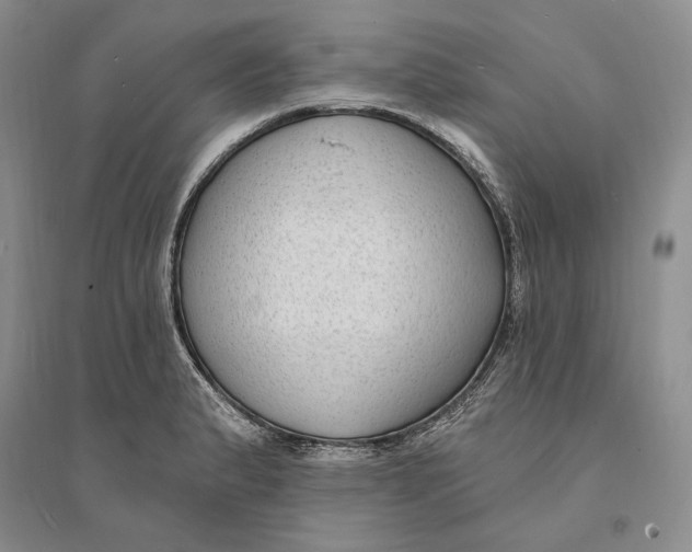 X0000094071183200711091145