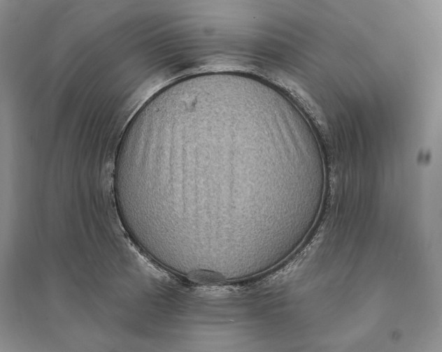 X0000094071185200711091145