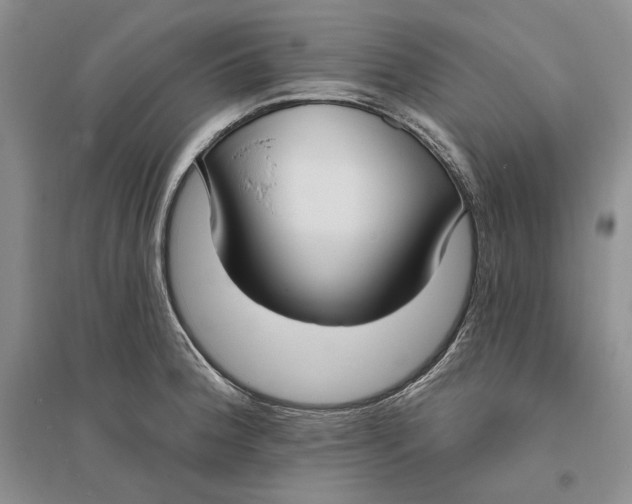 X0000094071188200711091145