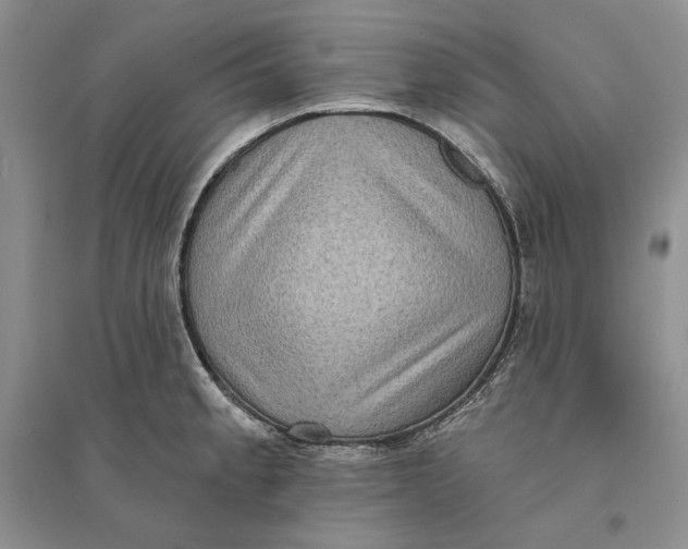 X0000094071189200711091144