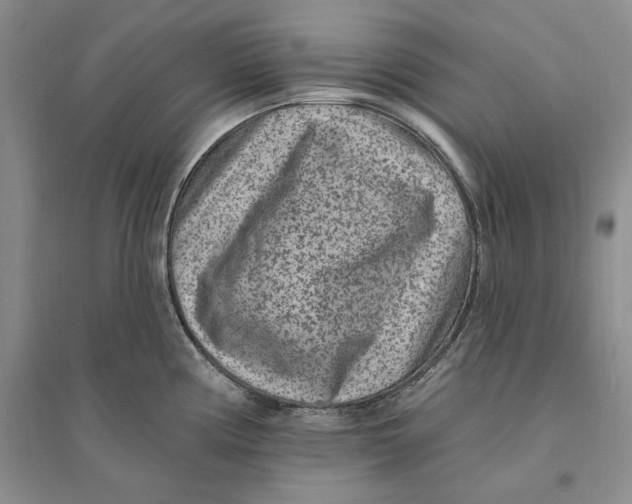 X0000094071194200711091144