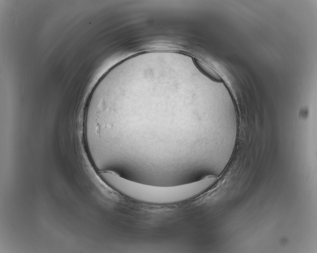 X0000094071195200711091144
