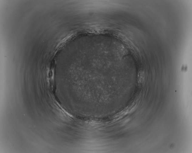 X0000094071202200711091144