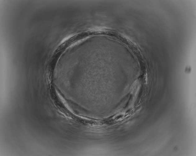X0000094071206200711091144