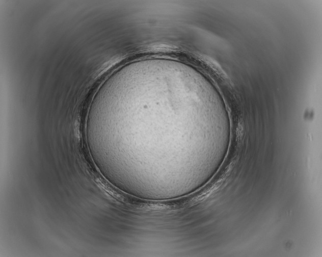 X0000094071209200711091144