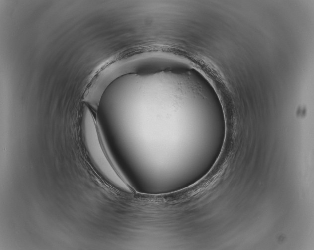 X0000094071210200711091144