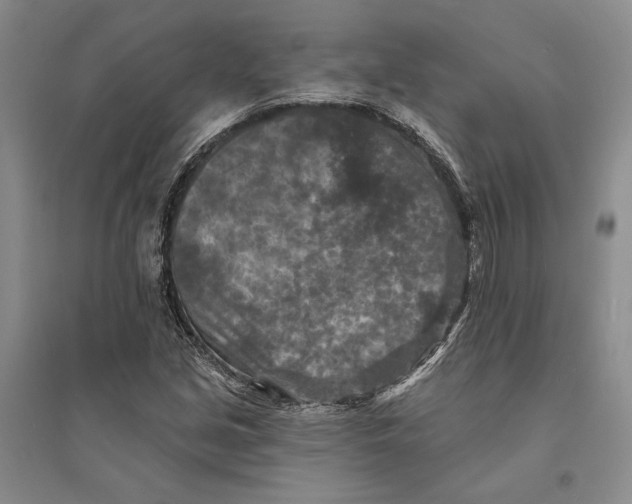 X0000094071213200711091144