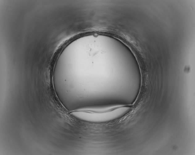 X0000094071214200711091144