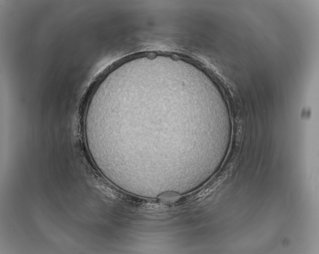 X0000094071215200711091144