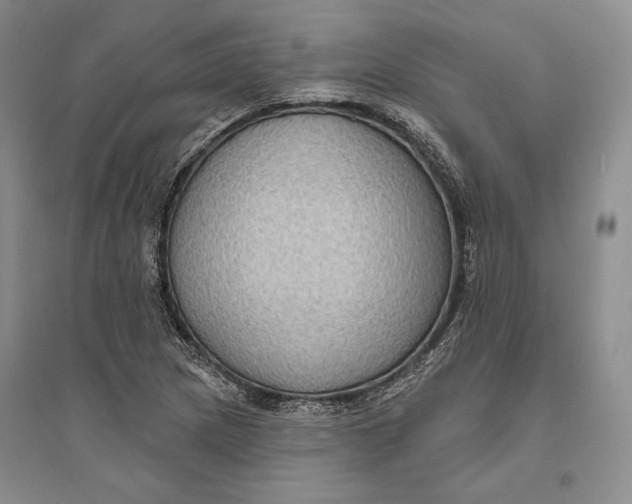 X0000094071217200711091144