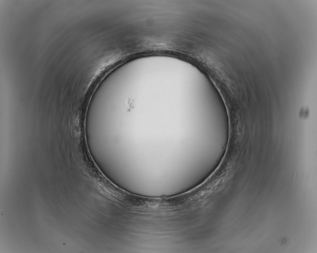 X0000094071218200711091144