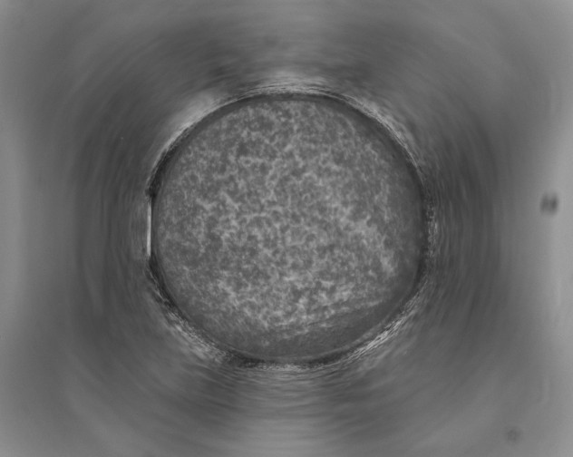 X0000094071219200711091144