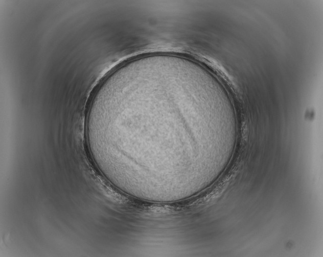 X0000094071220200711091144