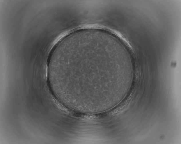 X0000094071221200711091144