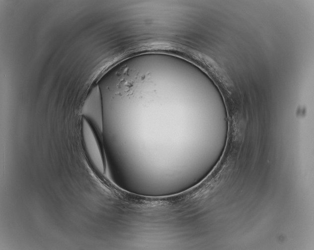 X0000094071225200711091144