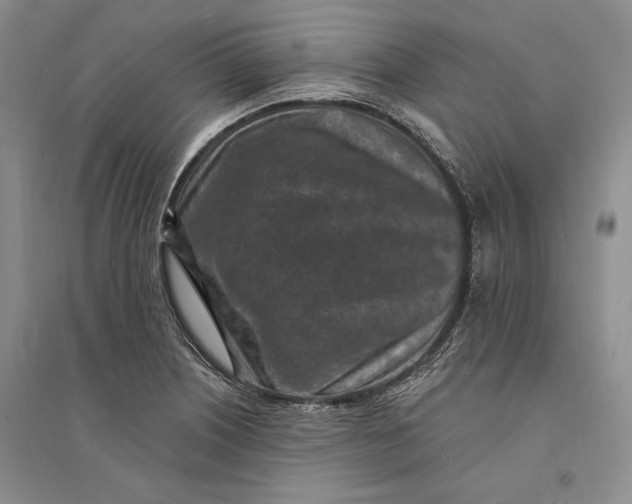 X0000094071226200711091144