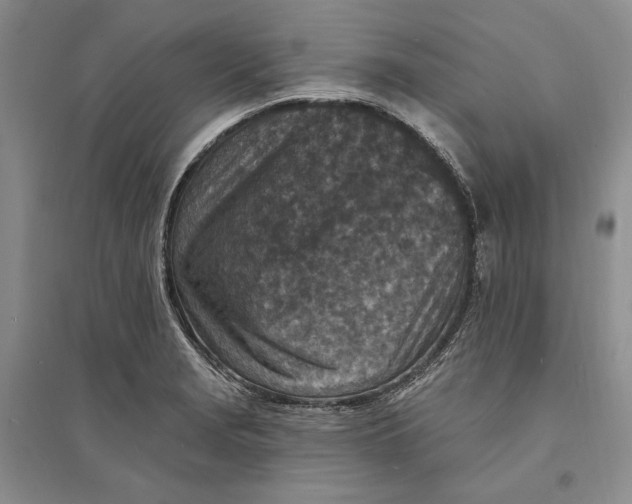 X0000094071229200711091144