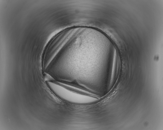X0000094071230200711091144
