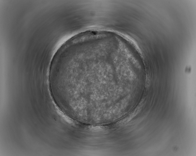 X0000094071231200711091144