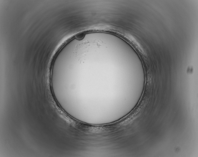 X0000094071232200711091144