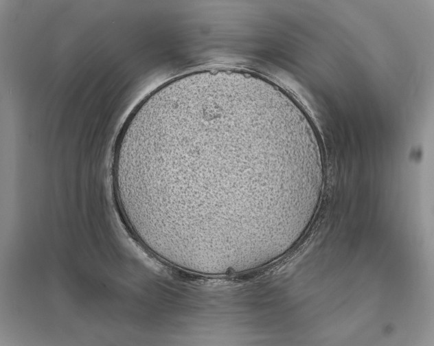 X0000094071235200711091144