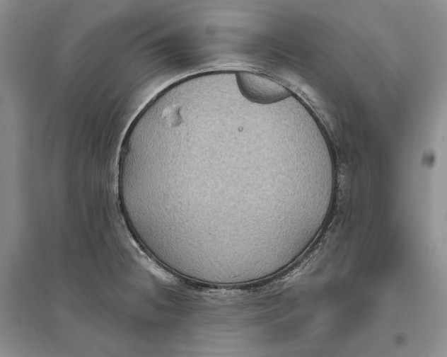 X0000094071236200711091144