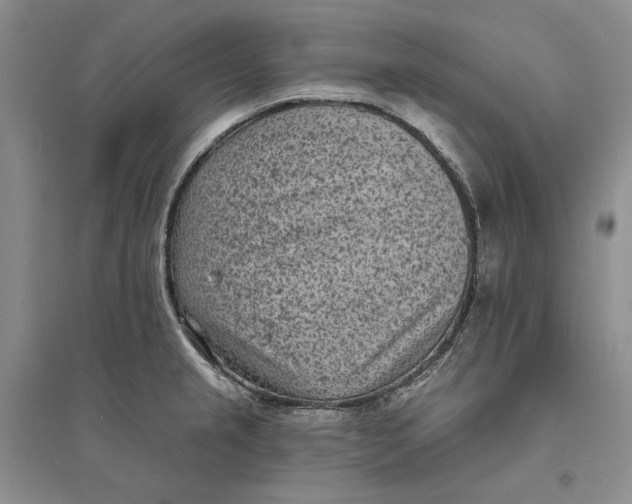 X0000094071237200711091144