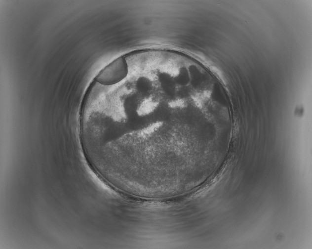 X0000094071239200711091144