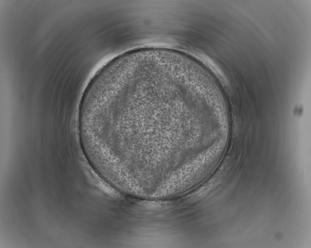 X0000094071240200711091144