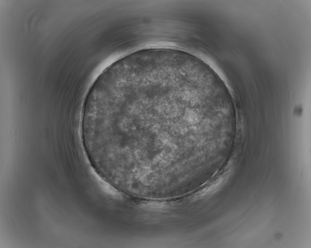 X0000094071245200711091144