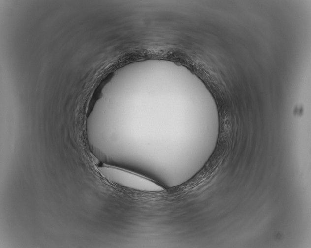 X0000094071249200711091144