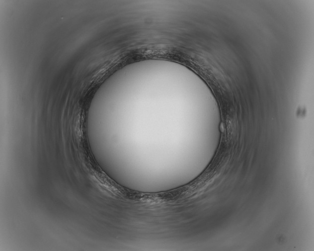 X0000094071250200711091144