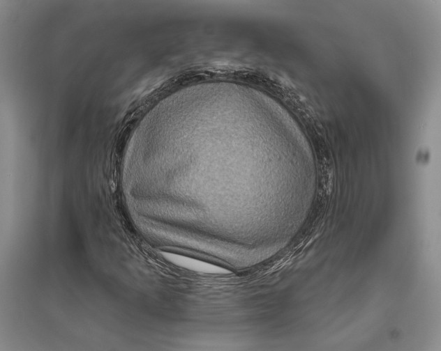 X0000094071253200711091144