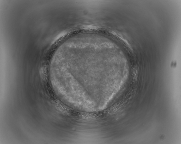 X0000094071254200711091144