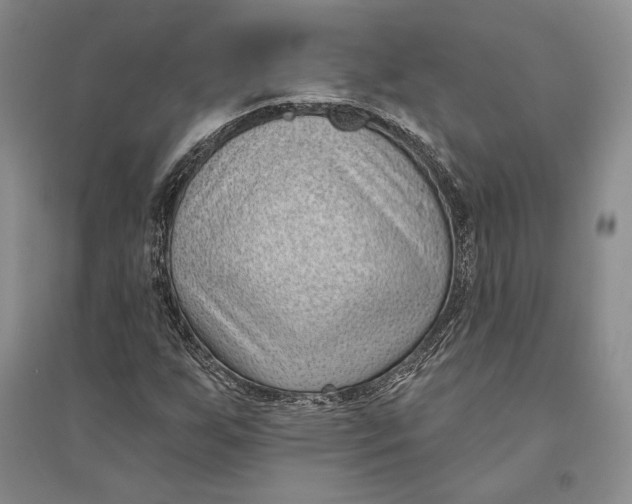 X0000094071255200711091144