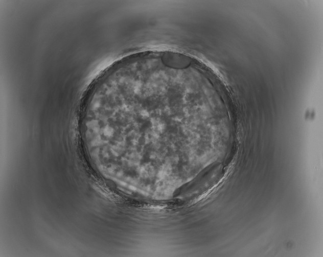 X0000094071263200711091143