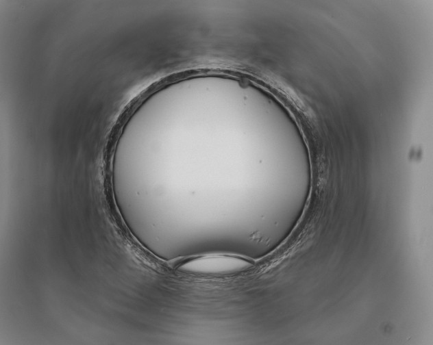 X0000094071264200711091143